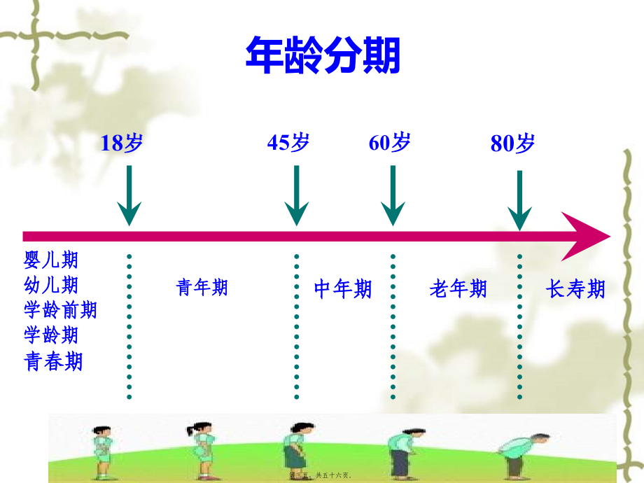 2022医学课件妇幼营养学朱文丽1营养学基础_第3页