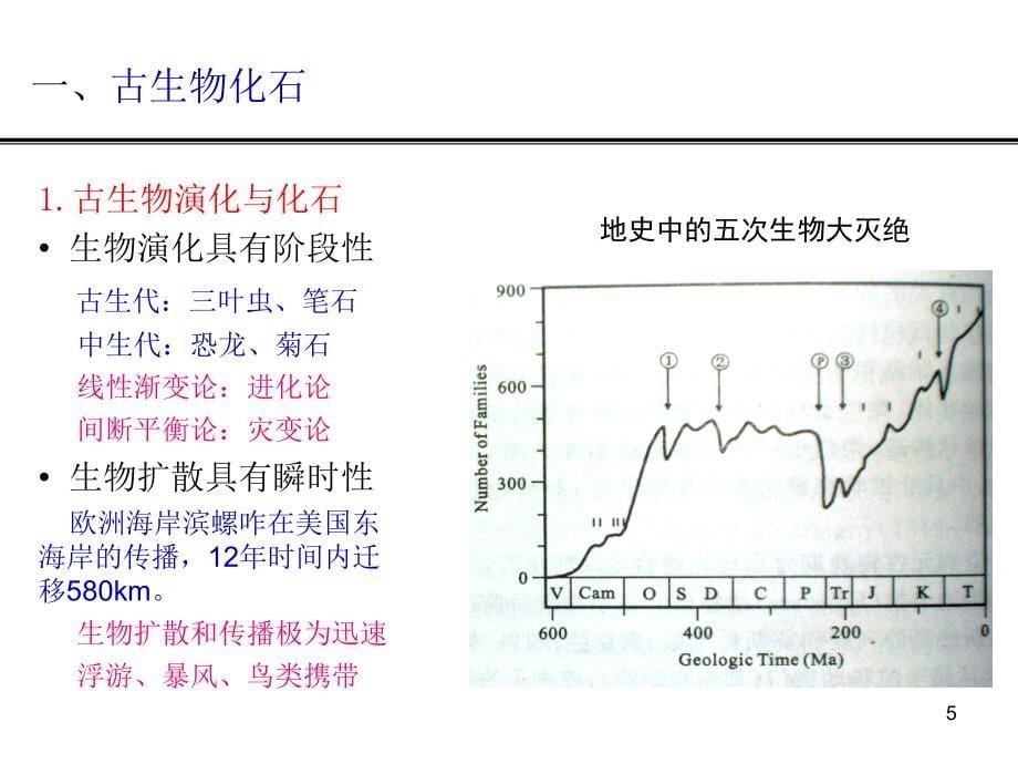 地层划分与对比的依据ppt课件_第5页