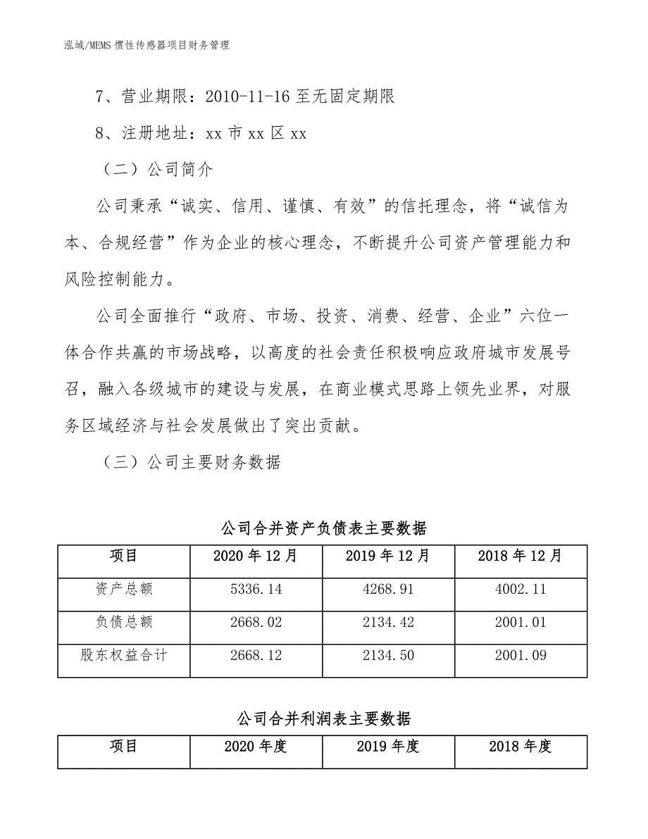 MEMS惯性传感器项目财务管理_第3页