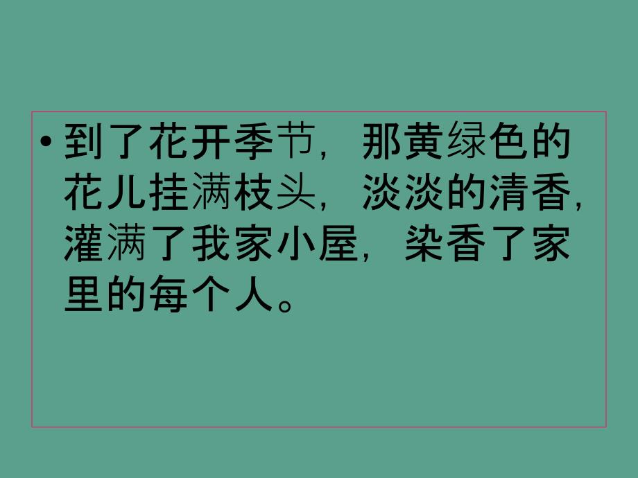 三年级下语文舍不得这棵树3ppt课件_第2页