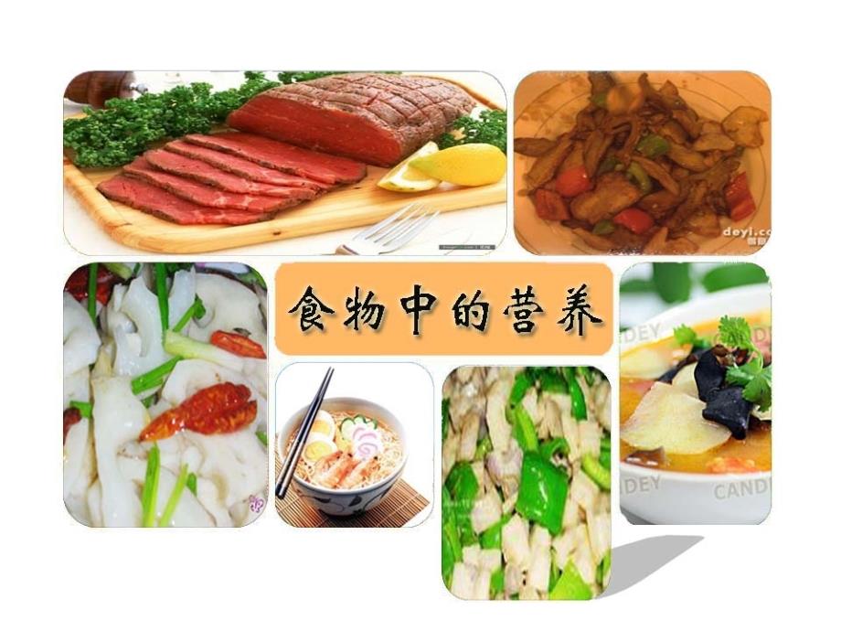 四年级下册科学课件食物中的营养教科版_第1页