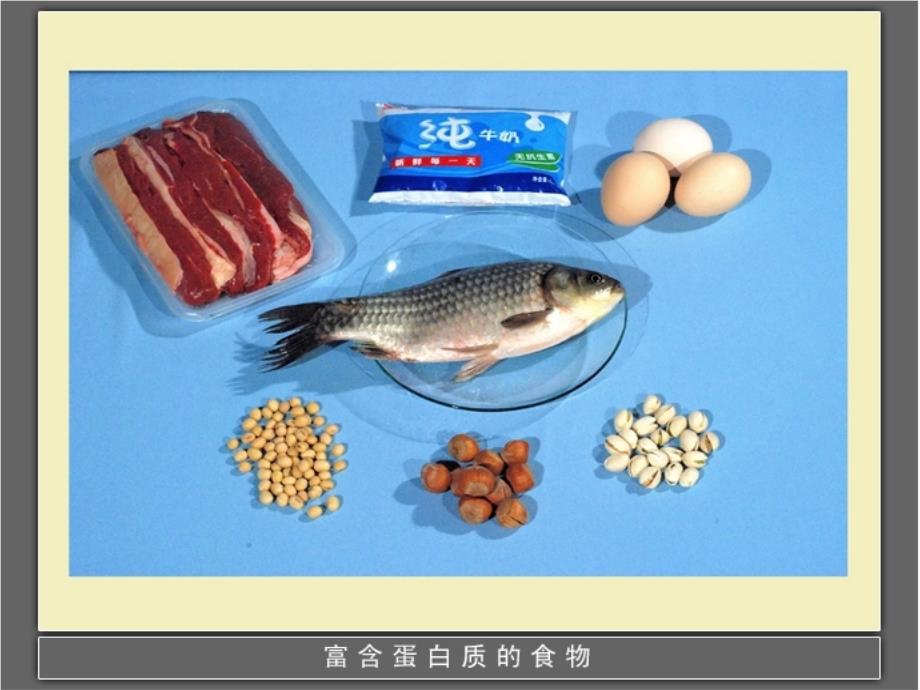 四年级下册科学课件食物中的营养教科版_第3页