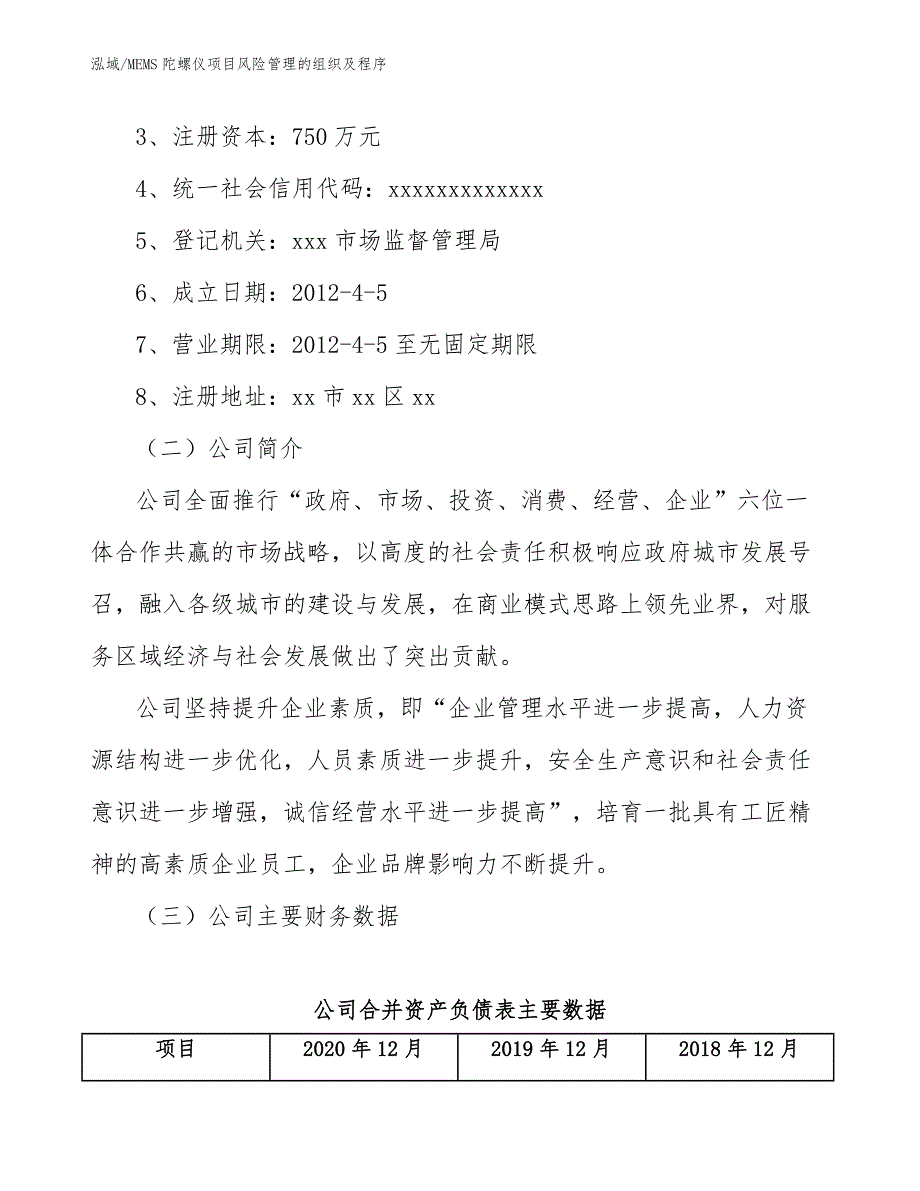 MEMS陀螺仪项目风险管理的组织及程序_范文_第3页