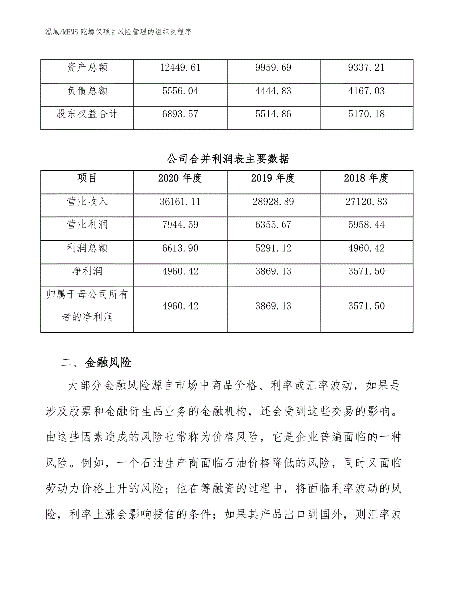 MEMS陀螺仪项目风险管理的组织及程序_范文_第4页