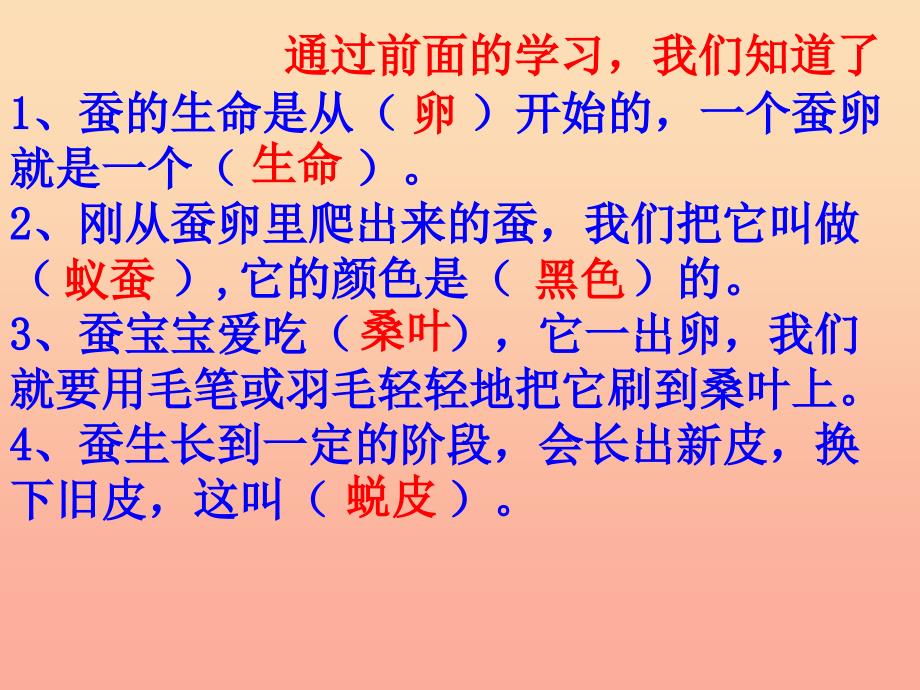 三年级科学下册 动物的生命周期 4 蛹变成了什么课件4 教科版.ppt_第3页