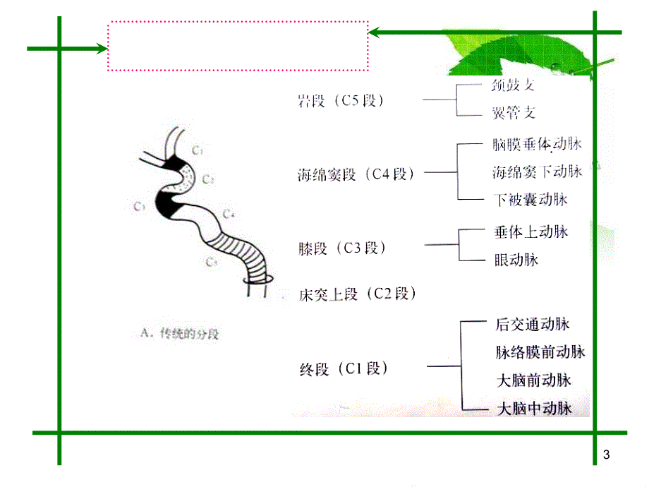 头颈部血管的CTAMRA诊断ppt课件_第3页