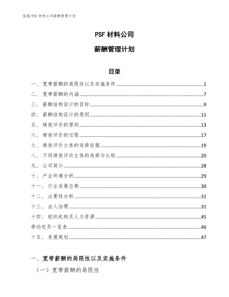 PSF材料公司薪酬管理计划【参考】_第1页