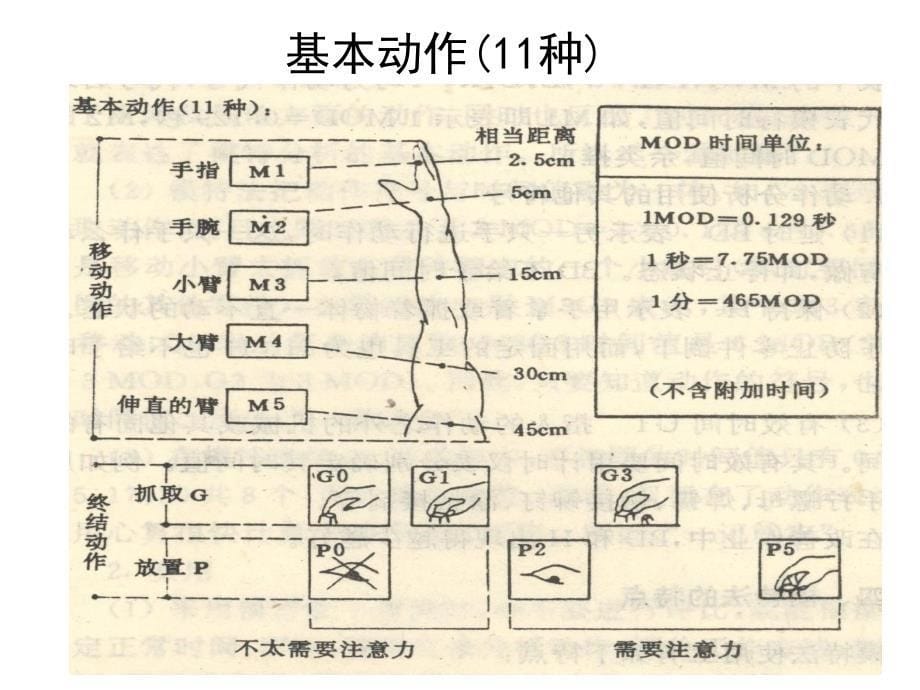 《预定动作时间研究》PPT课件_第5页