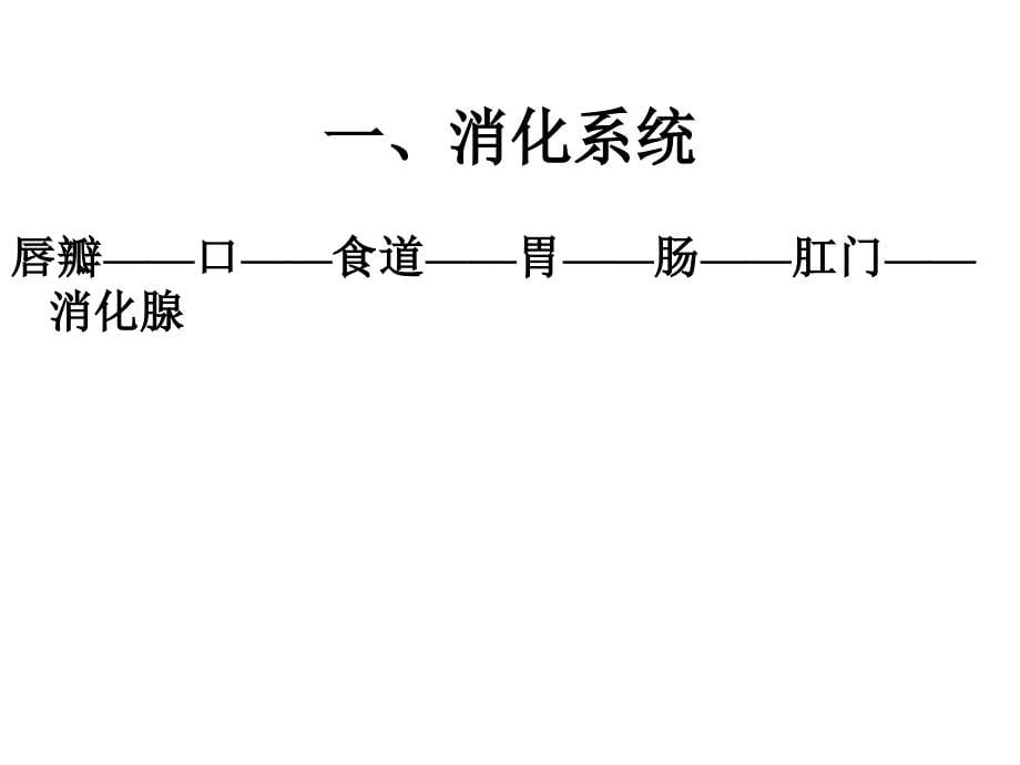 第三章贝类的内部构造_第5页