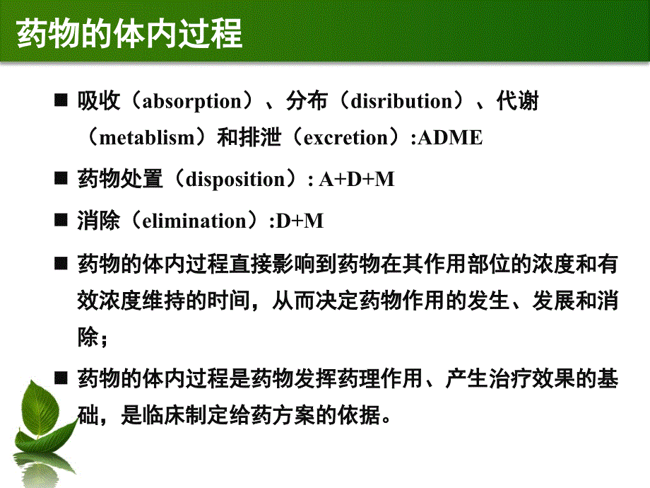 药物代谢动力学PPT课件_第3页