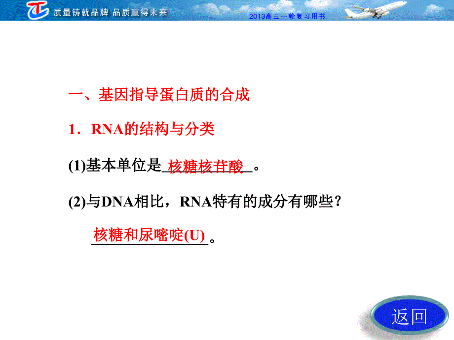 必修2第10章基因的表达文档资料_第4页