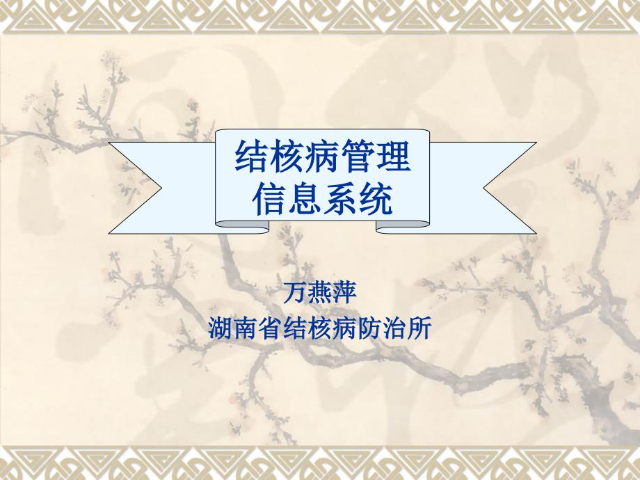 湖南省结核病管理信息系统课件_第1页