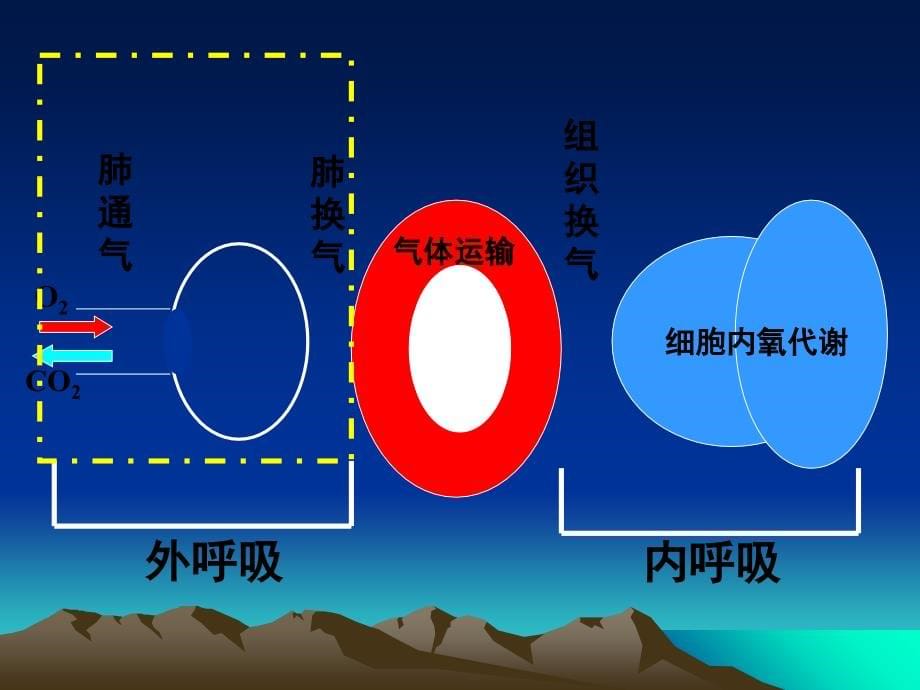 2022年小儿呼吸衰竭的诊治精选完整版_第5页