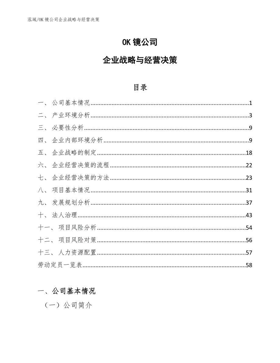 OK镜公司企业战略与经营决策【范文】_第1页