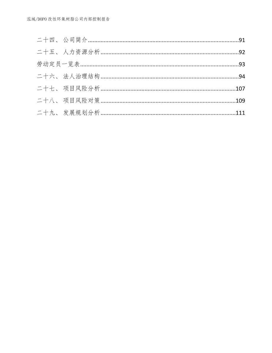 DOPO改性环氧树脂公司内部控制报告_第3页