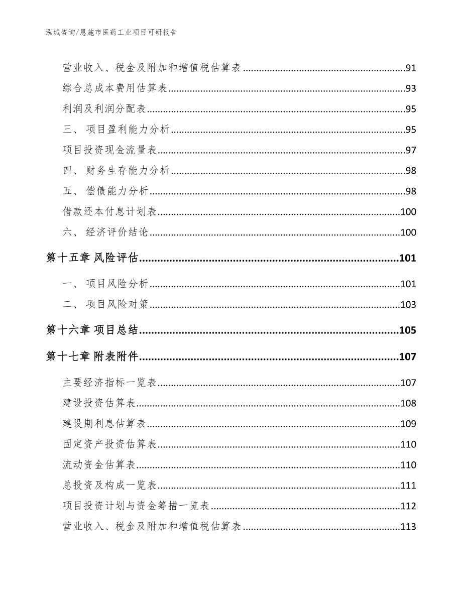 恩施市医药工业项目可研报告_第5页