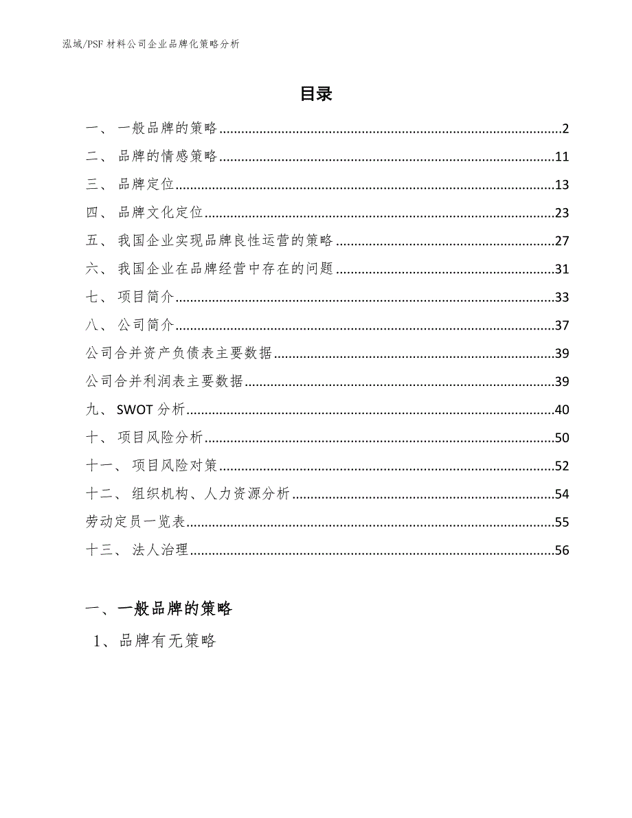 PSF材料公司企业品牌化策略分析_第2页