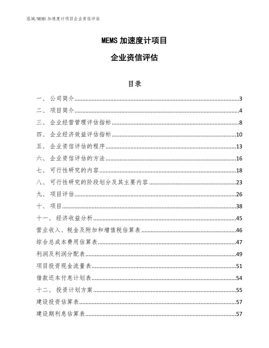 MEMS加速度计项目企业资信评估【范文】_第1页