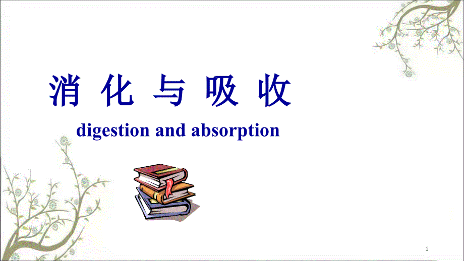 消化和吸收学时课件_第1页