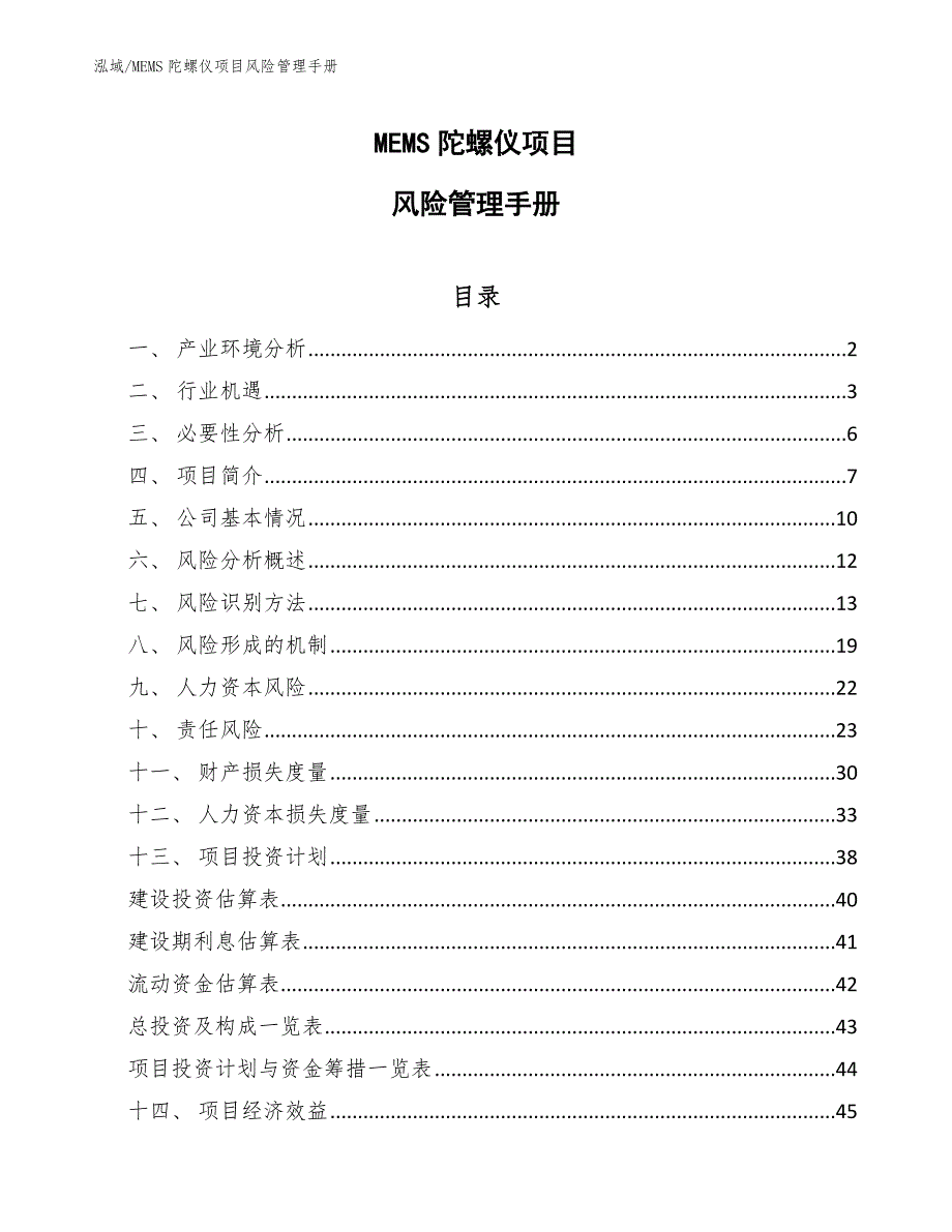 MEMS陀螺仪项目风险管理手册_第1页