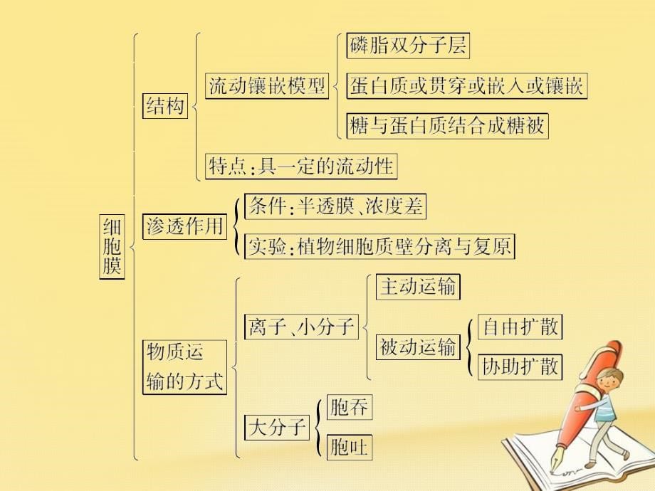 高三生物一轮复习ppt课件：必修一_第四章_第1课时__物质跨膜运输的实例_第5页