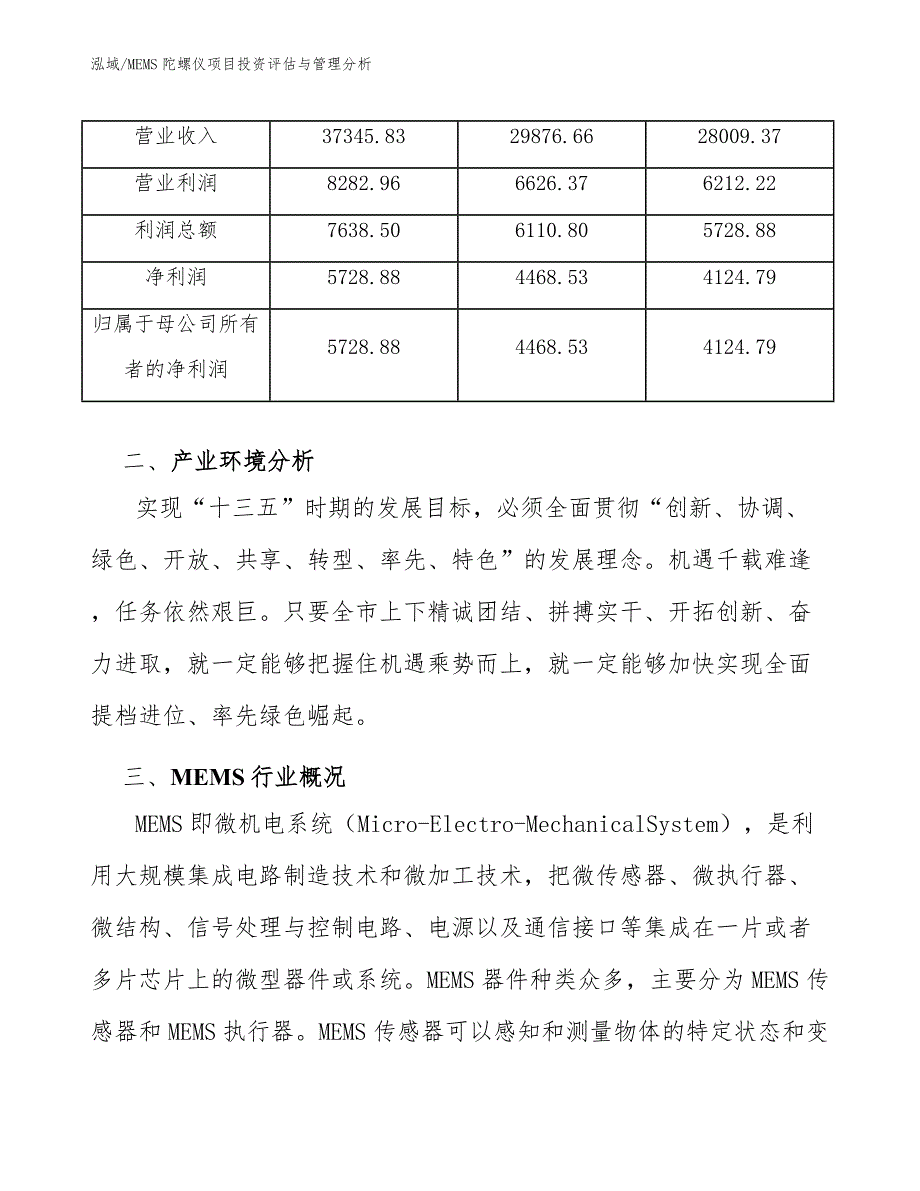 MEMS陀螺仪项目投资评估与管理分析（范文）_第4页