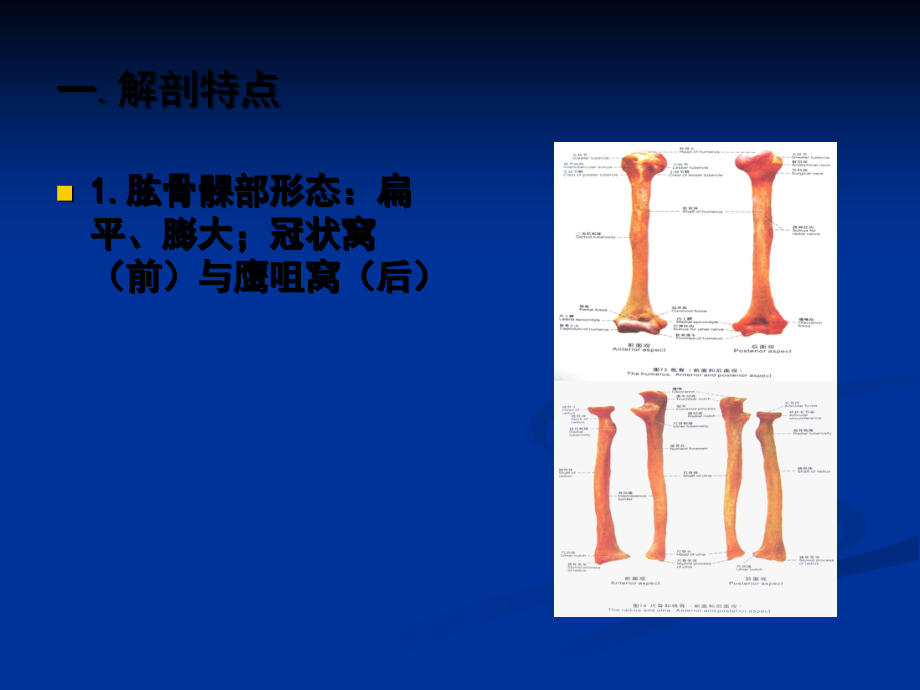 2022年小儿肱骨髁上骨折精选完整版_第2页