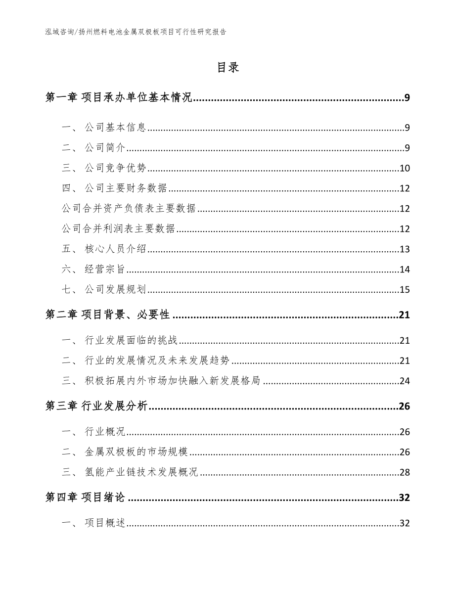 扬州燃料电池金属双极板项目可行性研究报告_第2页