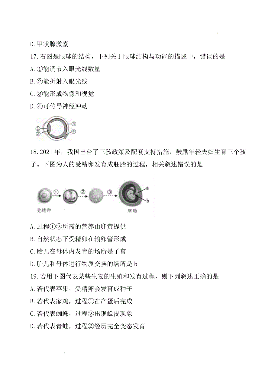 2023年福建省泉州市中考生物模拟试题（含答案）_第4页