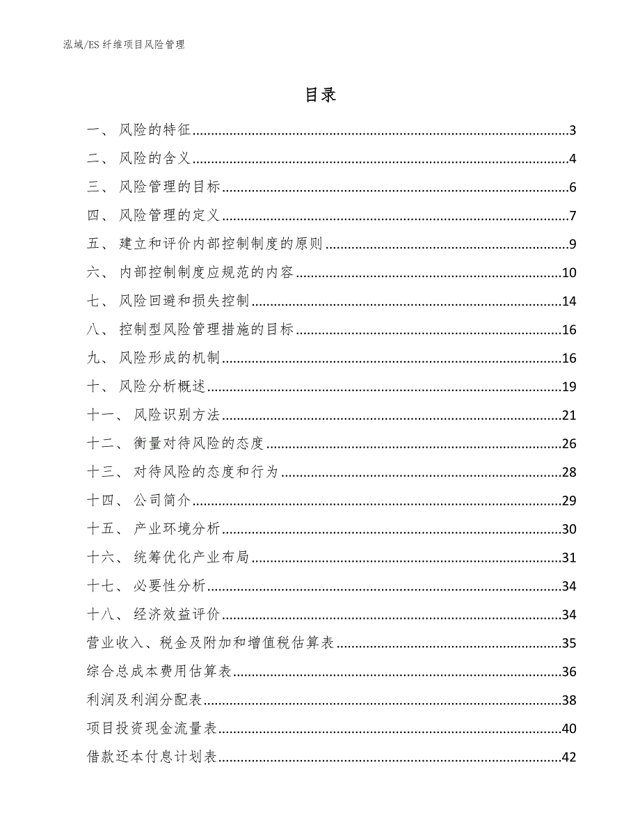 ES纤维项目风险管理_参考_第2页