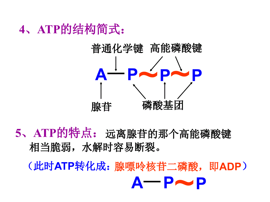 生物4.1ATP和酶课件苏教版必修1_第3页