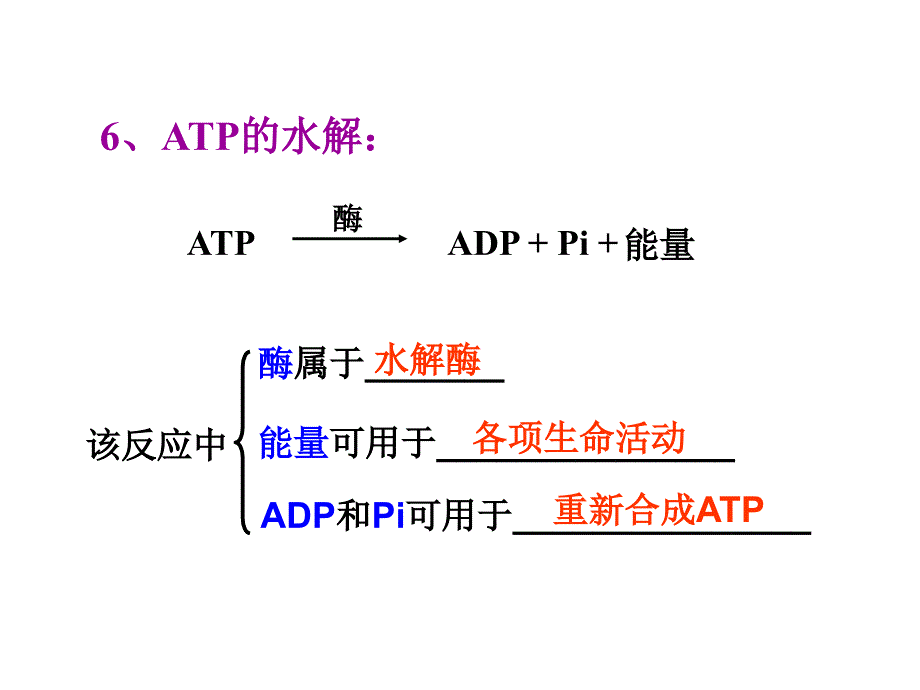 生物4.1ATP和酶课件苏教版必修1_第4页