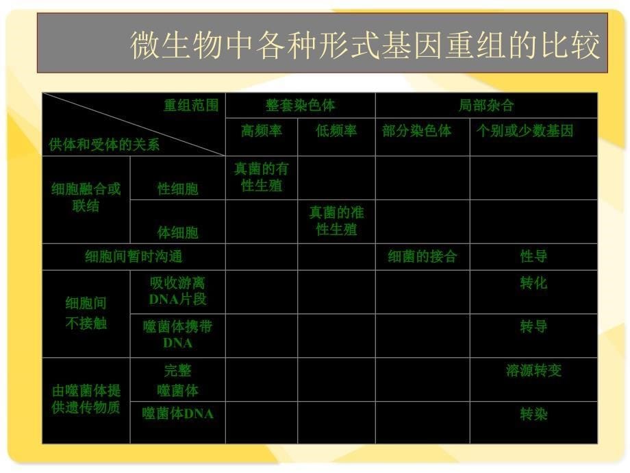 细菌的基因重组_第5页