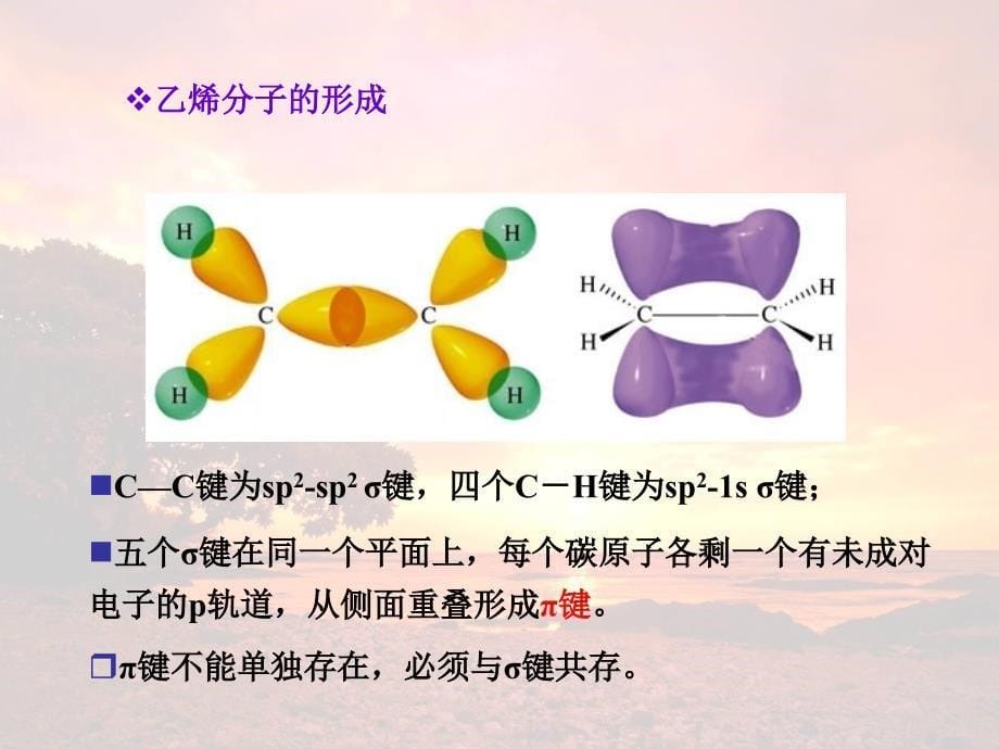 大学有机化学付建龙03单烯烃_第5页