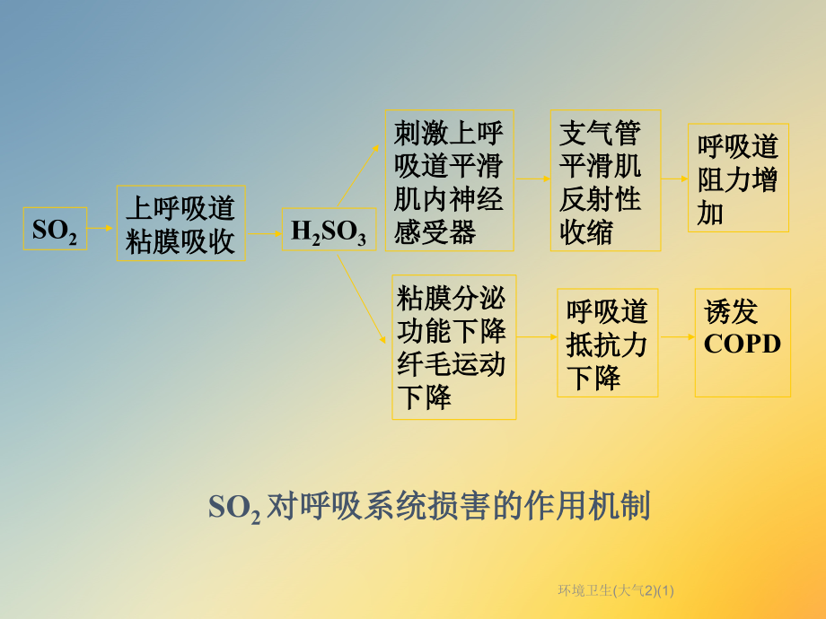 环境卫生(大气2)课件_第3页