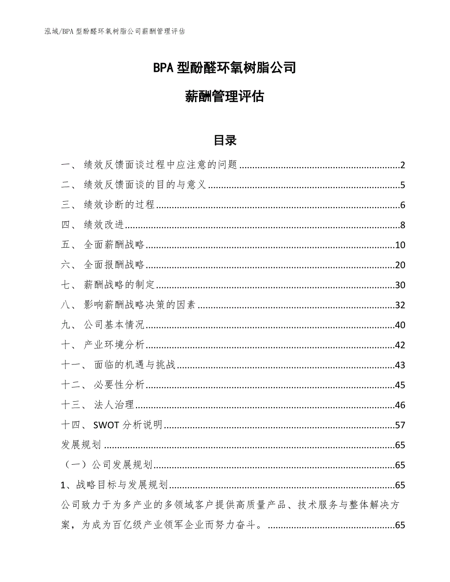 BPA型酚醛环氧树脂公司薪酬管理评估_第1页