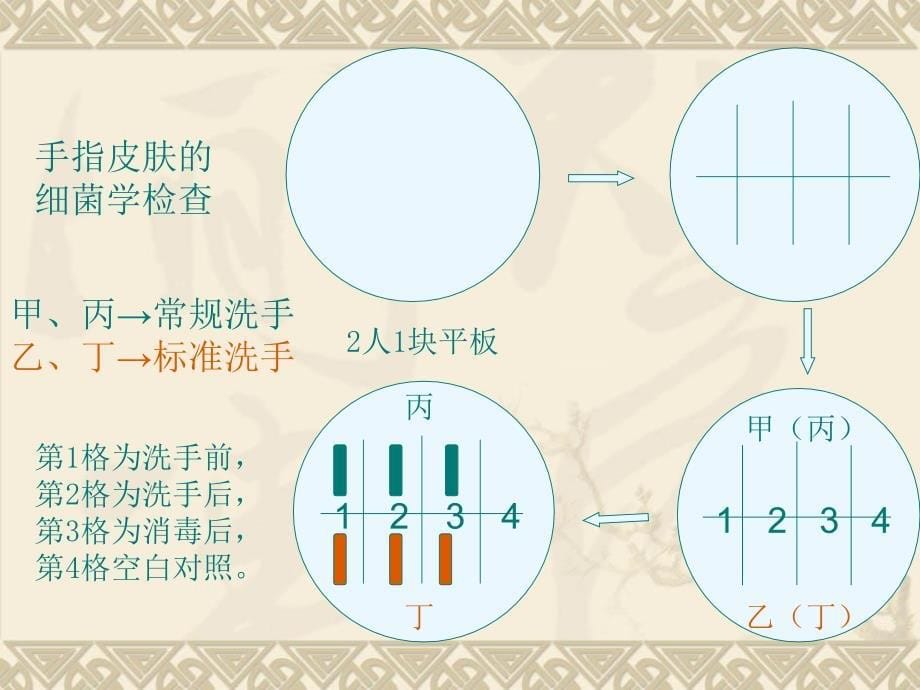 《微生物实验》PPT课件_第5页