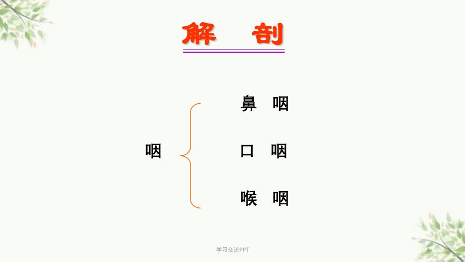 咽喉+颈部见习ppt课件_第4页