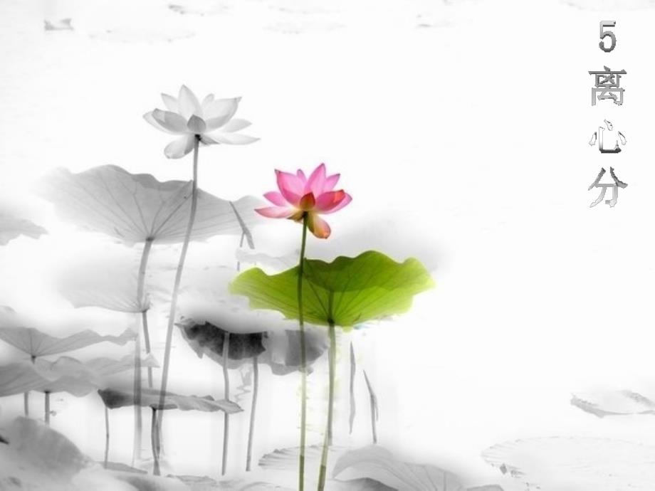 生物分离工程离心分离解析课件_第1页