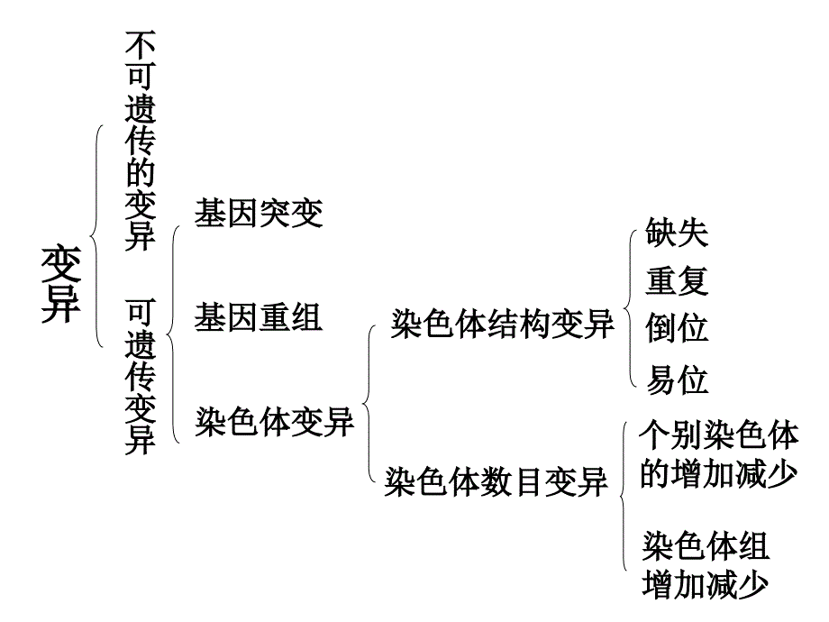 生物的变异与育种_第2页