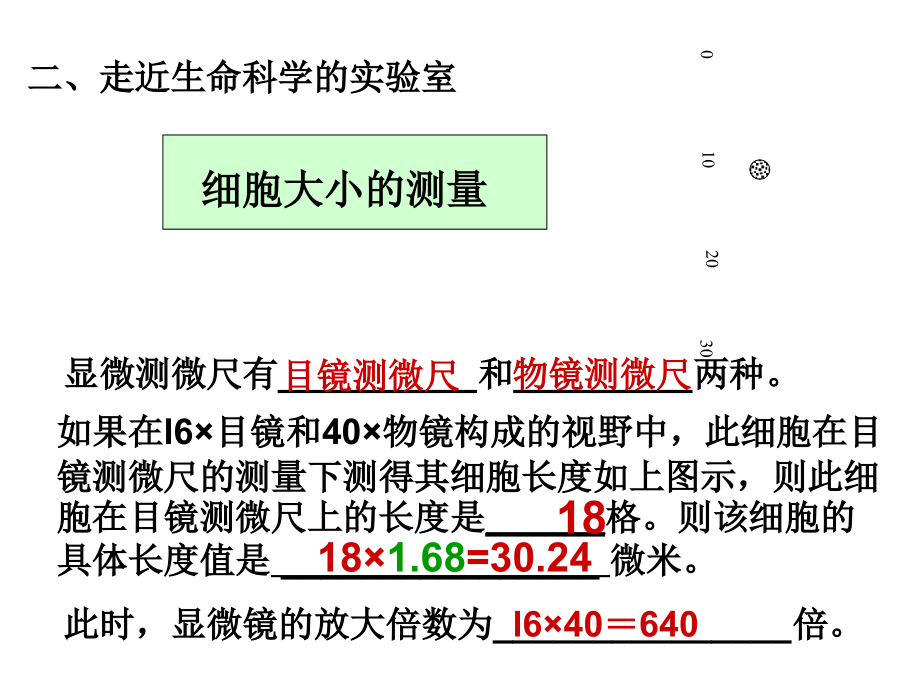 生命科学复习沪教版课件_第3页