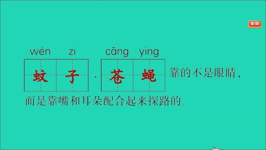 2021年秋四年级语文上册第二单元第6课夜间飞行的秘密习题课件新人教版_第5页