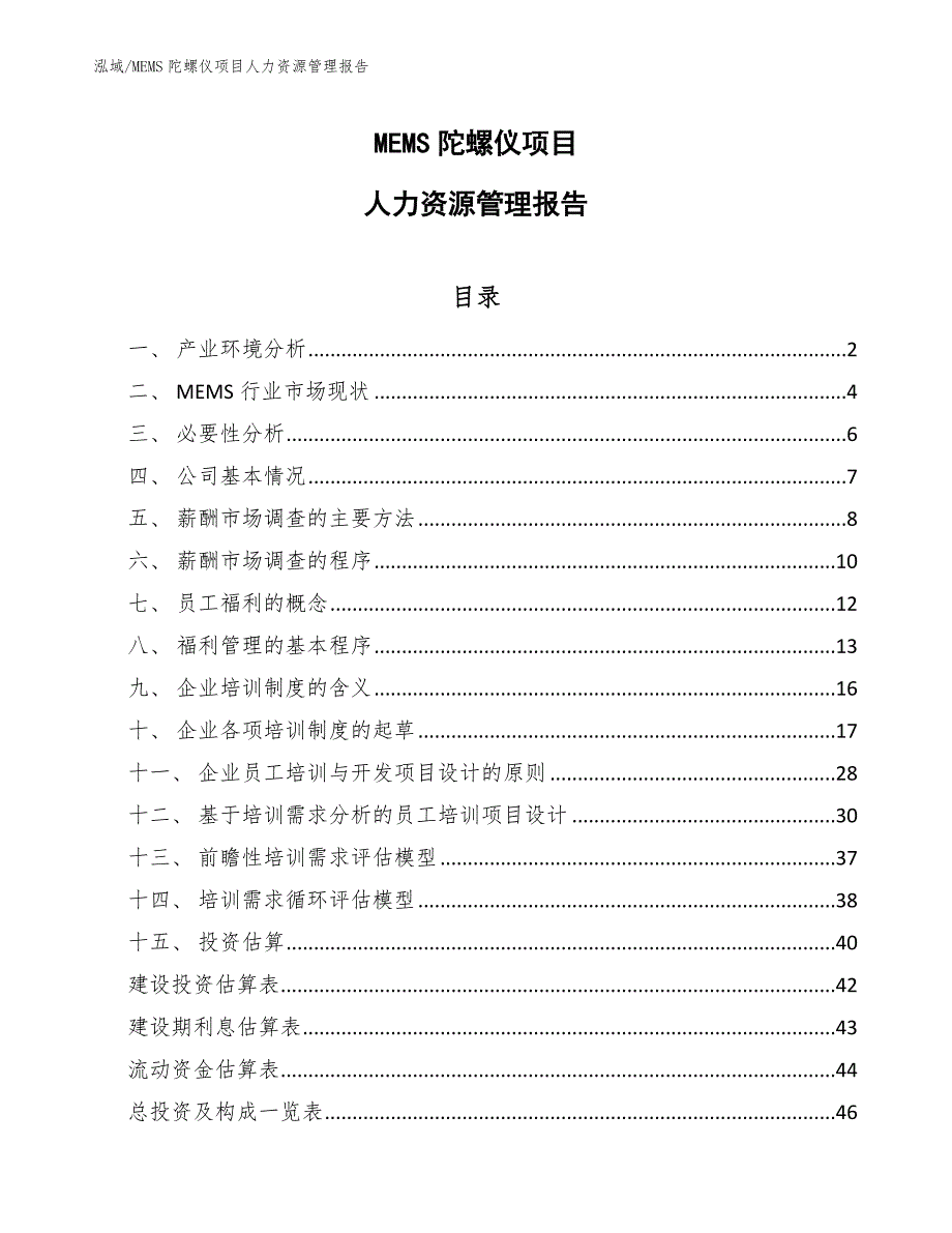 MEMS陀螺仪项目人力资源管理报告_参考_第1页