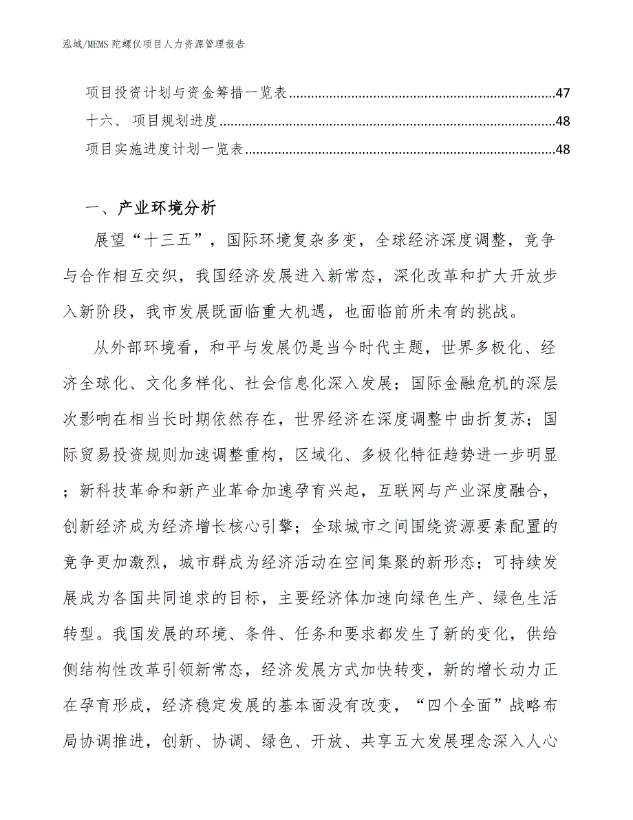 MEMS陀螺仪项目人力资源管理报告_参考_第2页