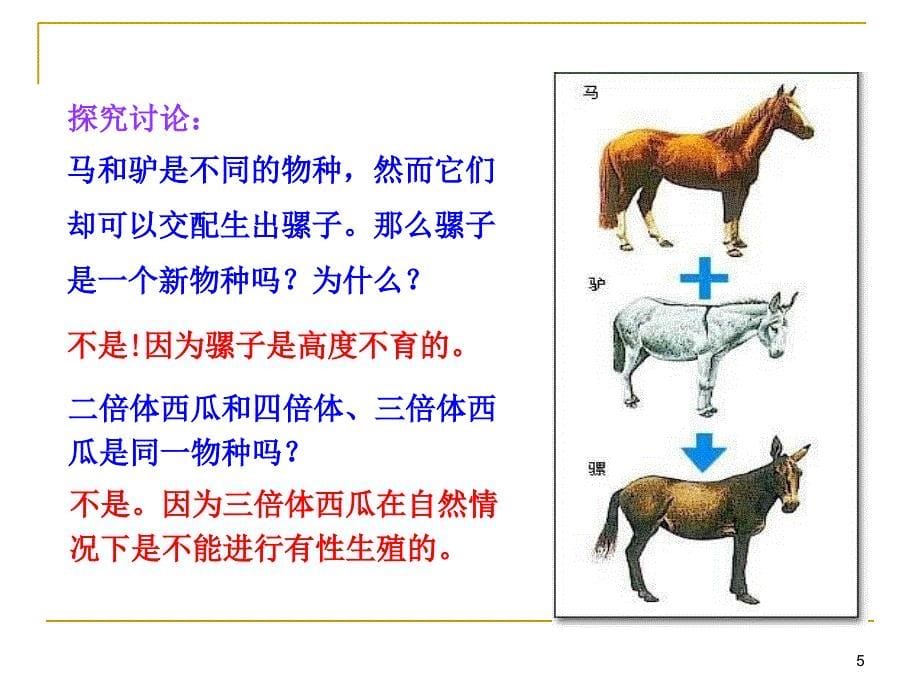 生物的多样性、统一性和进化课件浙科版必修21_第5页