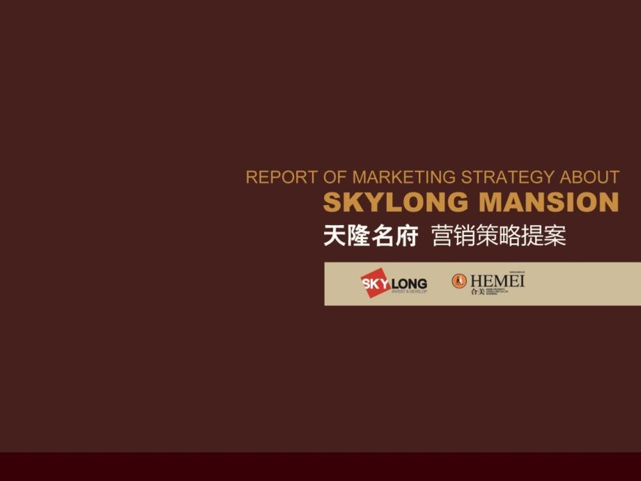 合美福建漳州天隆名府营销策略提案139PPT