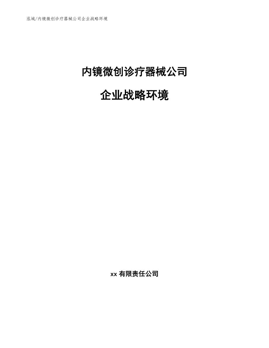 内镜微创诊疗器械公司企业战略环境（参考）_第1页