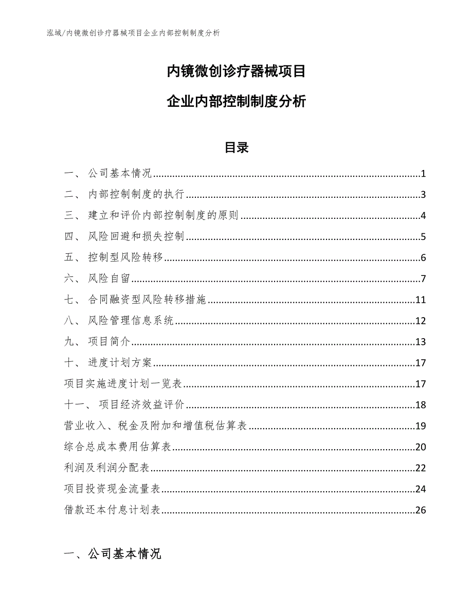 内镜微创诊疗器械项目企业内部控制制度分析_第1页