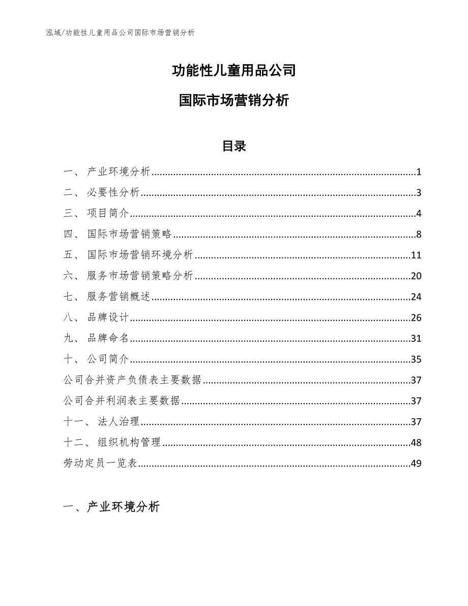 功能性儿童用品公司国际市场营销分析_第1页