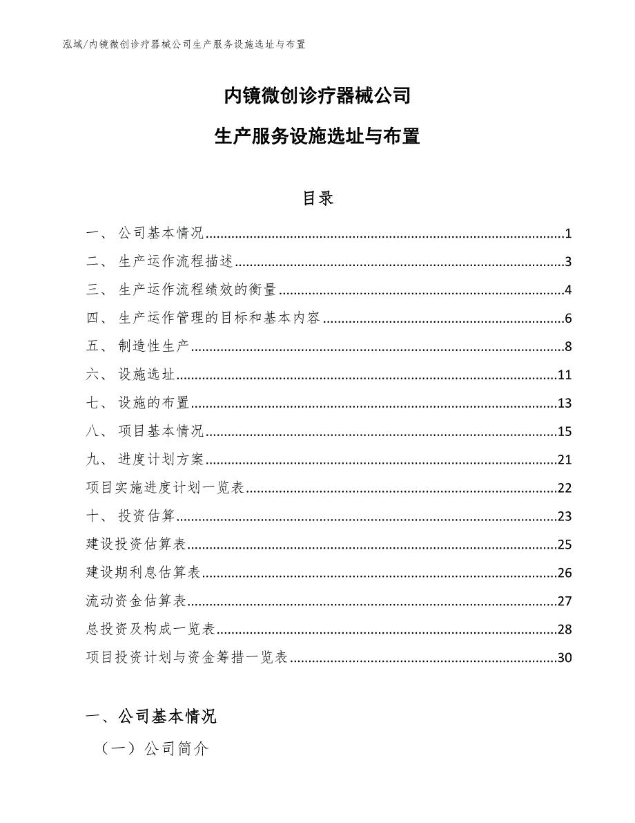 内镜微创诊疗器械公司生产服务设施选址与布置_第1页